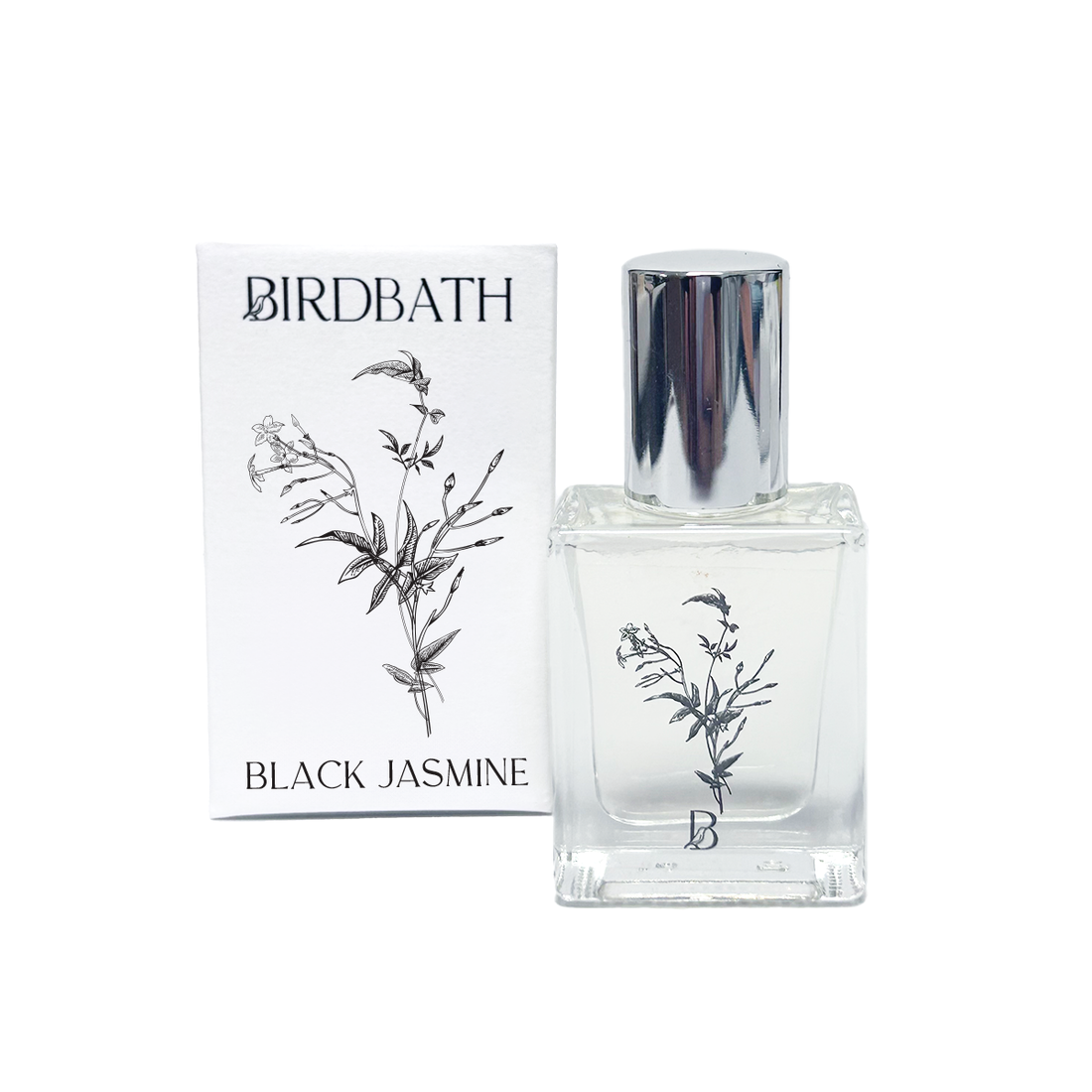 Black Jasmine