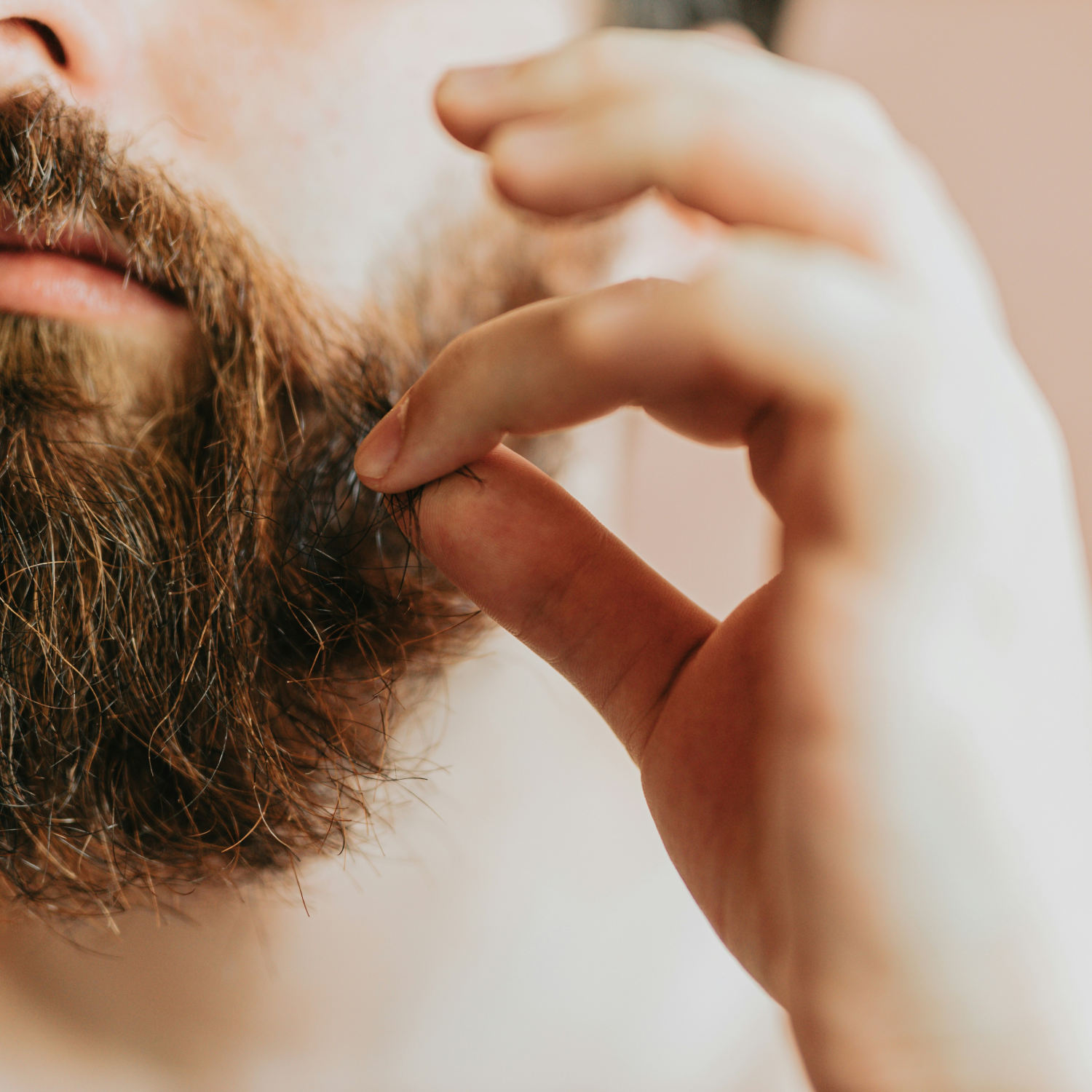 Beard Tamer